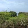 IMG_20221202_123126474