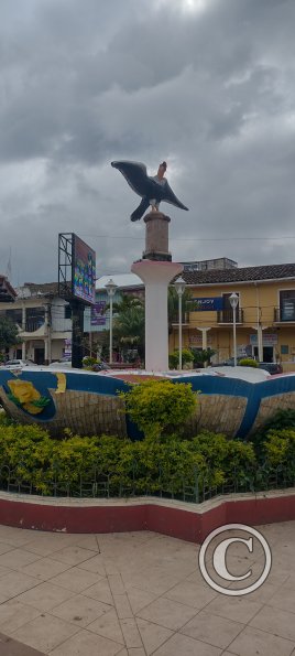 IMG_20230113_145029841_HDR