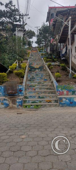 IMG_20230113_161057079_HDR