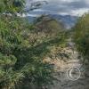 A stream not on the map at the unnamed road between Trapichillo and Catamayo (2)