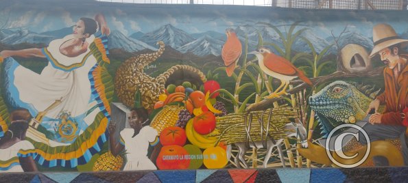 IMG_20230107_145010747