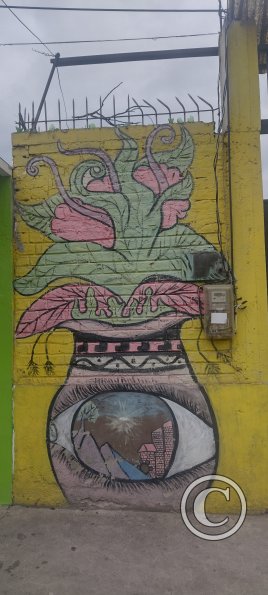 IMG_20230107_175517573_HDR