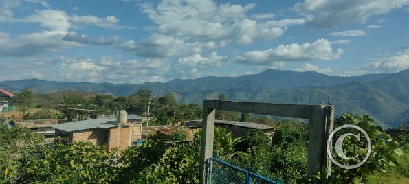 IMG_20230829_155845979_HDR
