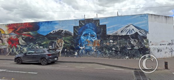 Murals on Rocafuerte and Argentina