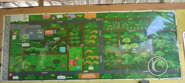 Jardin Botanico on El Moreta (13)