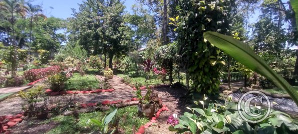 Jardin Botanico on El Moreta (5)