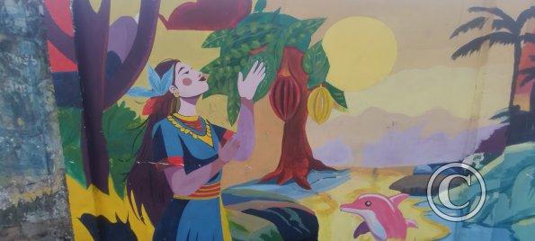 Mural on Amazonas near Sergio Saenz (2)