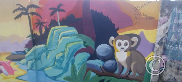 Mural on Amazonas near Sergio Saenz (3)