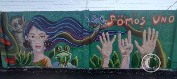 Mural on Amazonas near Sergio Saenz