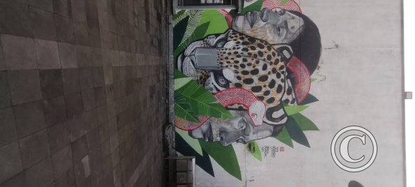 Mural on Av 9 de Octubre at Espejo