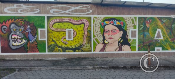 Murals on Victor Ron at Espejo