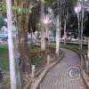 Parque Central at Eloy Alfaro and Amazonas (4)