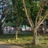 Parque Santa Rosa at Quito and Jose Feliciano