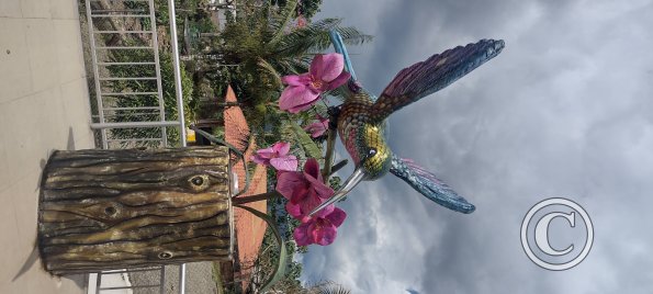 Hummingbird statue at the Mirador (2)