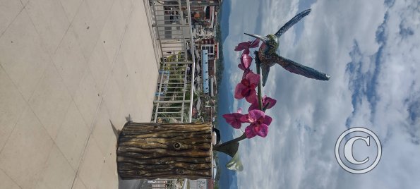 Hummingbird statue at the Mirador