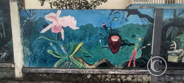 Mural on Luis Imaicela near Sor Francisca (5)