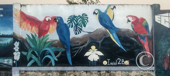 Mural on Luis Imaicela near Sor Rufina (3)