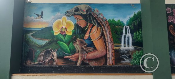 Mural on Luis Imaicela, small basketball stadium (10)