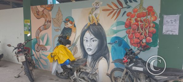 Mural on Luis Imaicela, small basketball stadium (12)