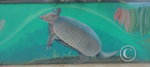 Mural on Mayor Rene Ulloa near Luis Imaicela (14)