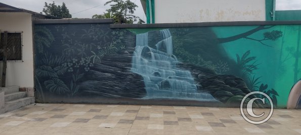 Mural on Mayor Rene Ulloa near Luis Imaicela (17)