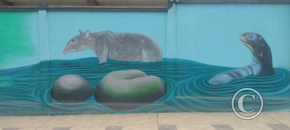 Mural on Mayor Rene Ulloa near Luis Imaicela (7)