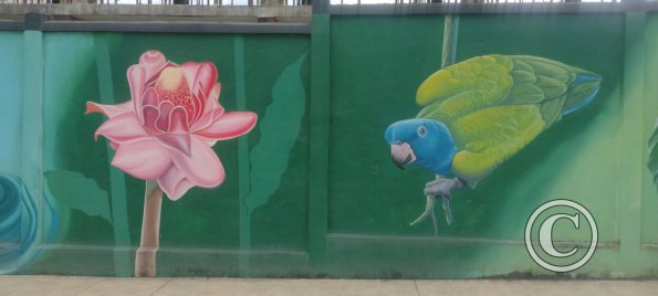 Mural on Mayor Rene Ulloa near Luis Imaicela (9)