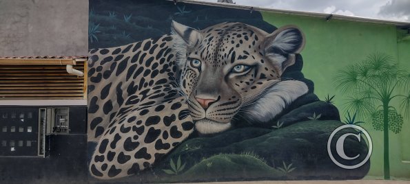 Mural on Mayor Rene Ulloa near Luis Imaicela