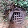 Jardin Botanico - El Gato - 1km past the river from downtown (29)