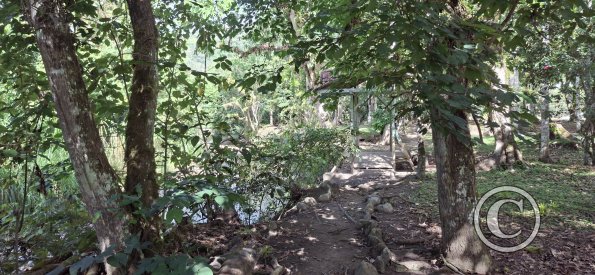 Lineal Park (2)