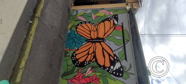 Mural on C. Cuenca near Eloy Alfaro (3)