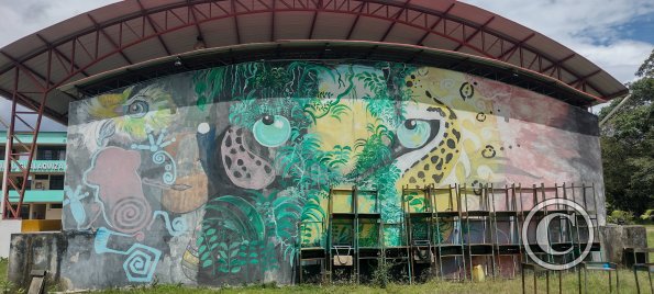 Mural on Colegio Gualaquiza (2)