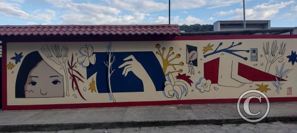 Mural on Garcia Moreno near Francisco de Orellana