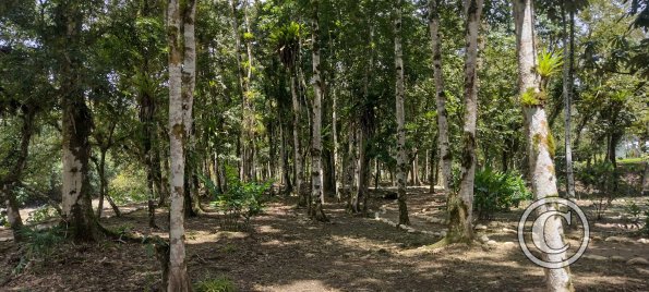 Parques Lineales along the riverside