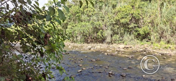Rio Gualaquiza from Lineal Park (2)