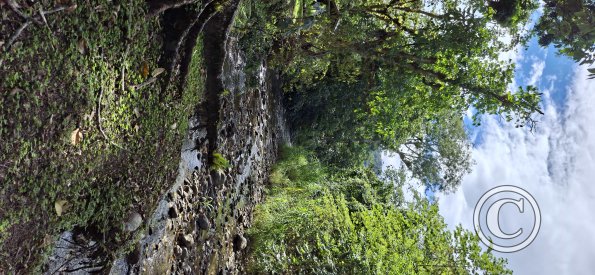 Rio Yumaza from Lineal Park (3)