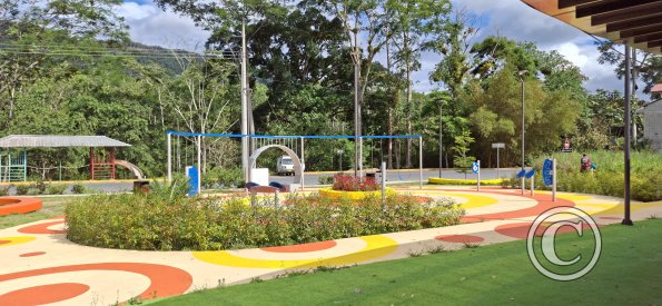 new park near lineal park