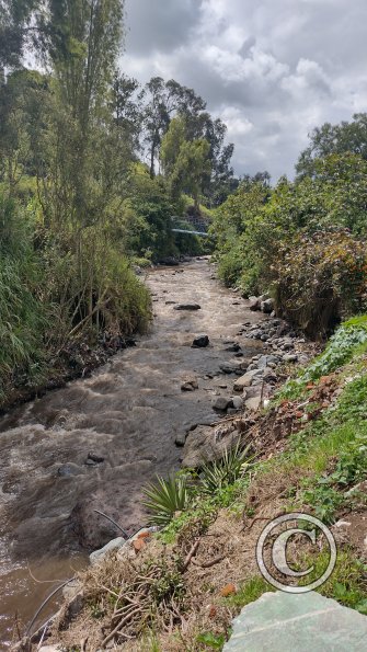 IMG_20221112_103200272_HDR