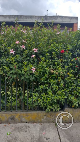 IMG_20221112_110228300_HDR