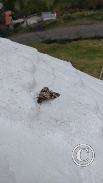 IMG_20221112_121634637
