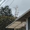 IMG_20221112_124937565