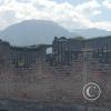IMG_20221113_101311405