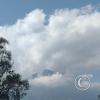 IMG_20221113_103113782