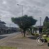 Loja and Av Luis Vargas Torres linear park