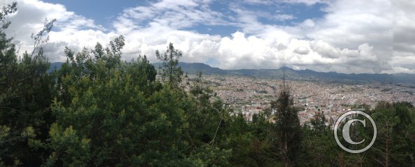 IMG_20230110_113547612