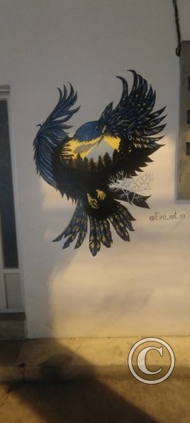 IMG_20230907_184025281