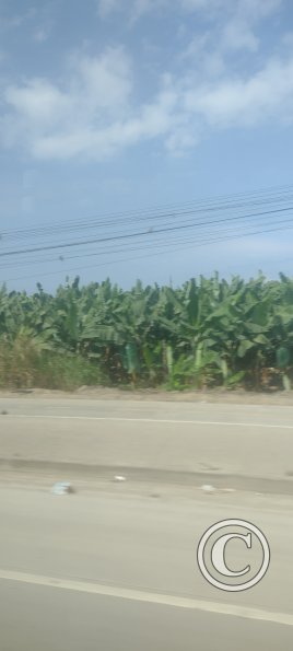 IMG_20230104_143819568