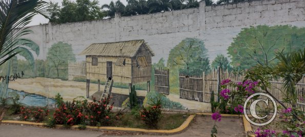 IMG_20230105_144335042_HDR