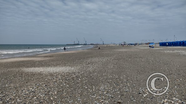 IMG_20221212_135527907_HDR