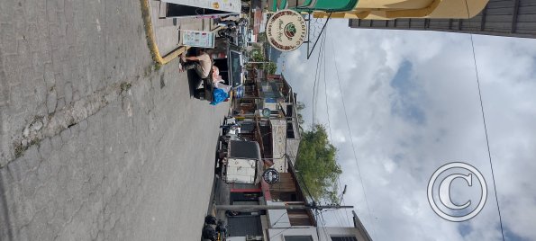 Av Quito from Gallo de La Pena (2)